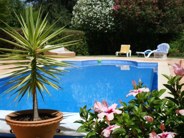 Pool Terrace Renovation in Simi Valley